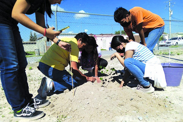 Plantan más árboles estudiantes del CAM