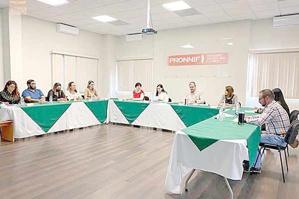Sesiona Consejo Técnico de Evaluación de Adopciones