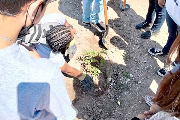 Reforestan estudiantes el Parque V. Carranza