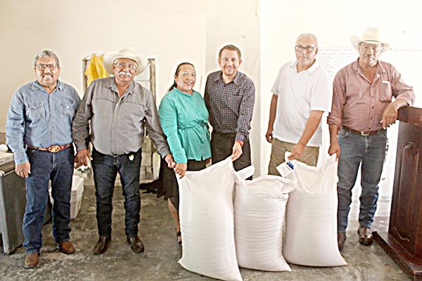 Entregan semillas de avena forrajera