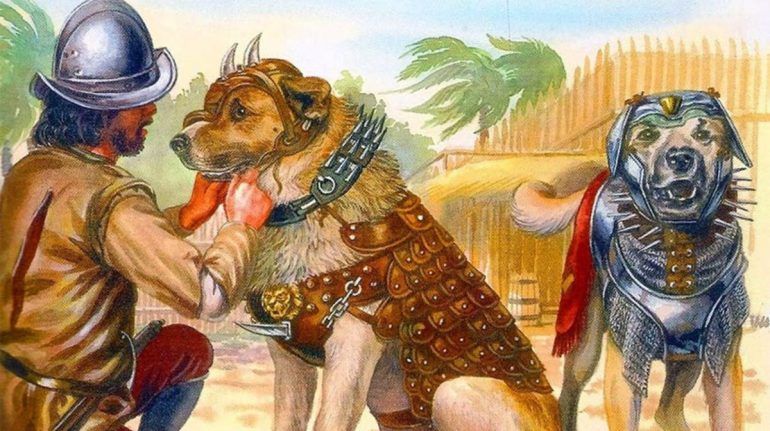 BECERRILLO: EL PERRO QUE FUE ENTRENADO PARA MATAR POR LOS CONQUISTADORES ESPAÑOLES