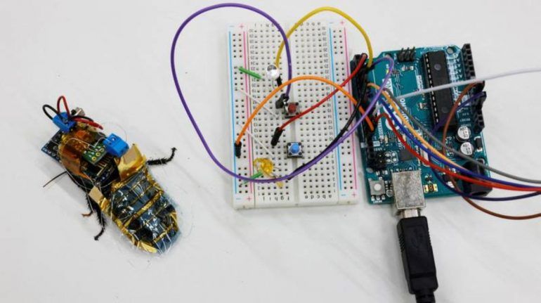 ¿CUCARACHAS ROBOTIZADAS PARA LOCALIZAR VÍCTIMAS EN TEMBLORES?