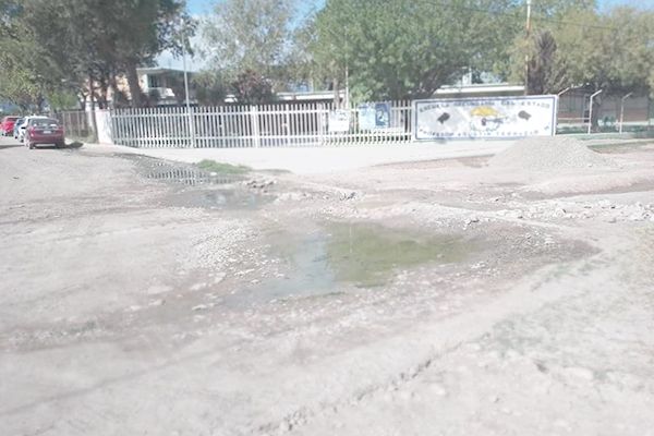 Hay cinco maestros afectados por dengue