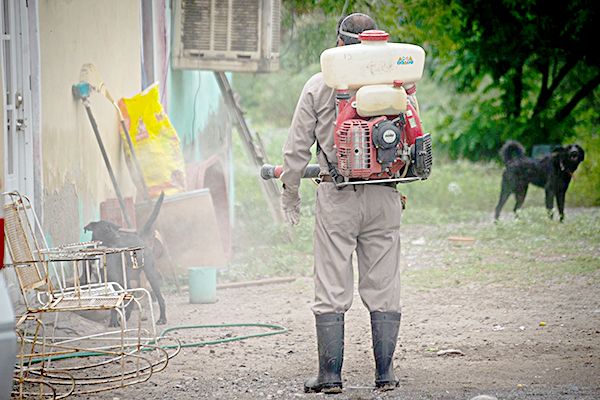 Combaten los mosquitos fumigando en Frontera