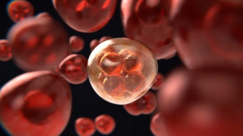 El cáncer en menores de 50 años está aumentando a nivel mundial, ¿por qué?