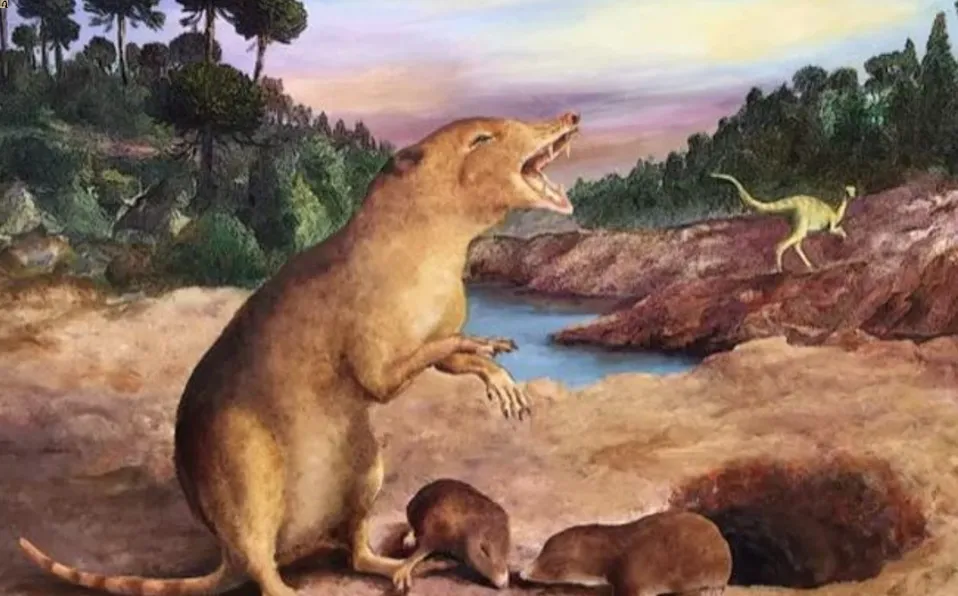 Una criatura parecida a una musaraña que vivió hace 225 millones de años es el mamífero más antiguo identificado hasta ahora
