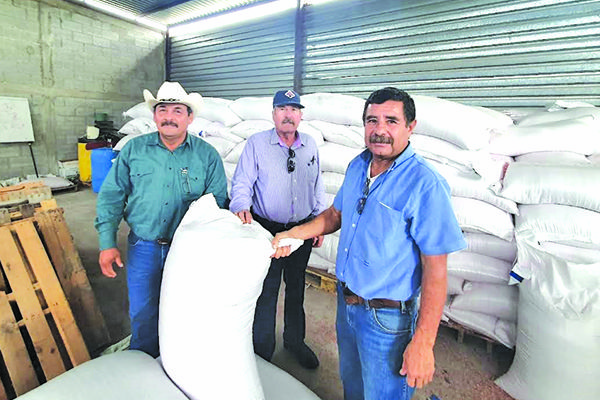 Entrega Alcalde semilla de avena