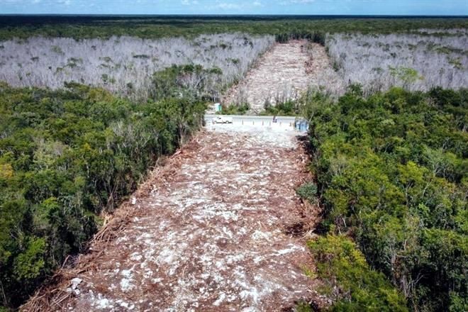 Tunden a Torruco por Tren Maya; ‘será un éxito’, responde