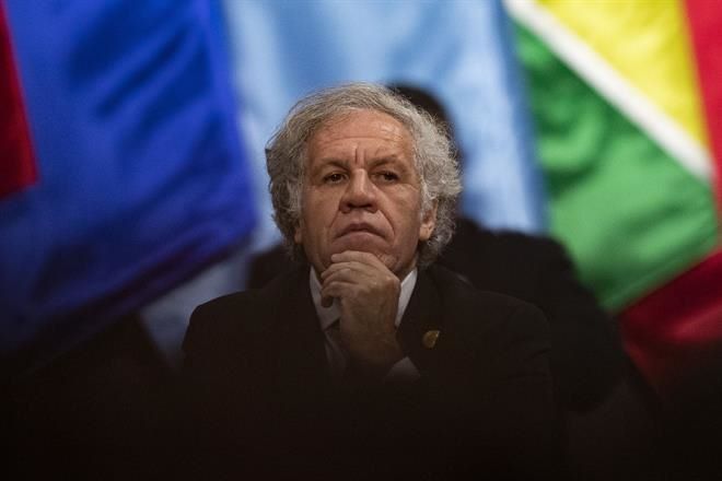 Surge escándalo en OEA por relación de Almagro con mexicana