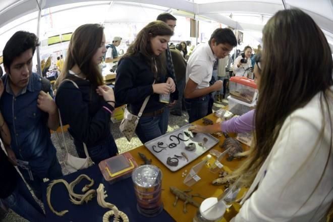 Regresa, en vivo, la Fiesta de las Ciencias y Humanidades