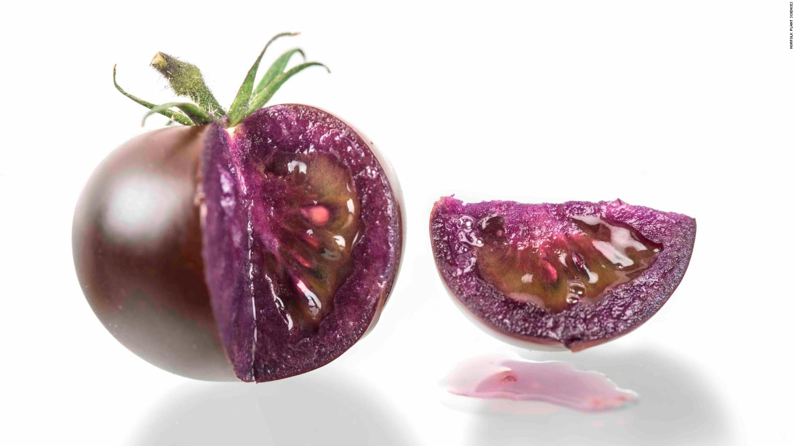 Un tomate morado modificado genéticamente podría llegar a los supermercados
