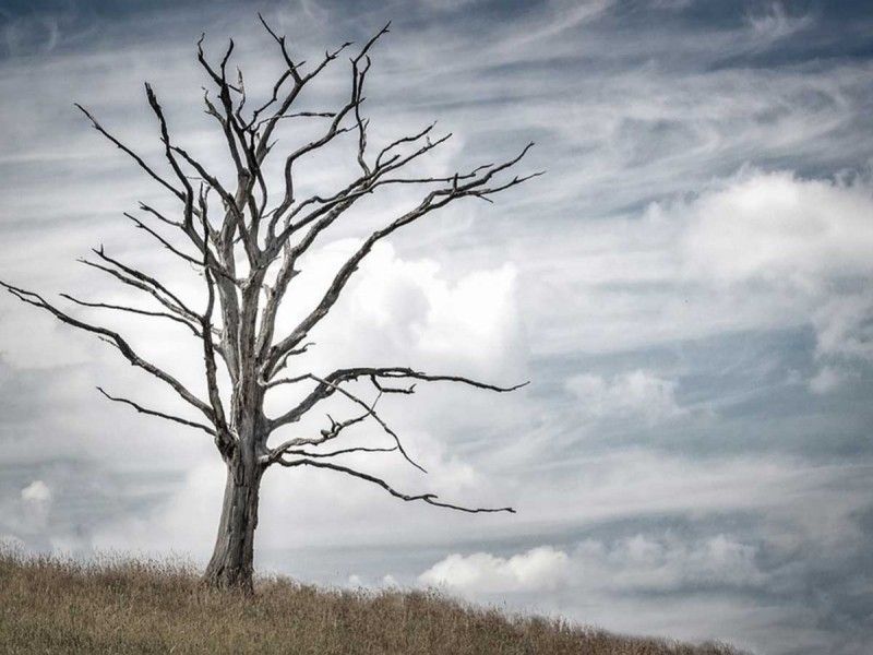 Calor dejará regiones enteras del planeta inhabitables; llamado de la ONU