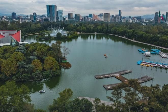 Buscan atún para la fauna de zoológicos en CDMX