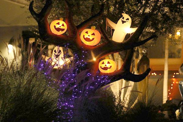Dulces con drogas, un monstruo real en Halloween