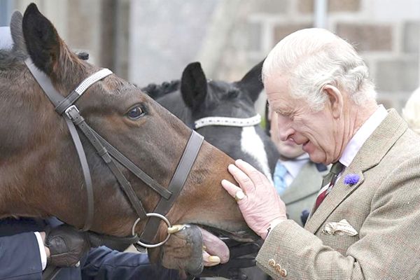 Rey Carlos III subastará 12 caballos de Isabel II
