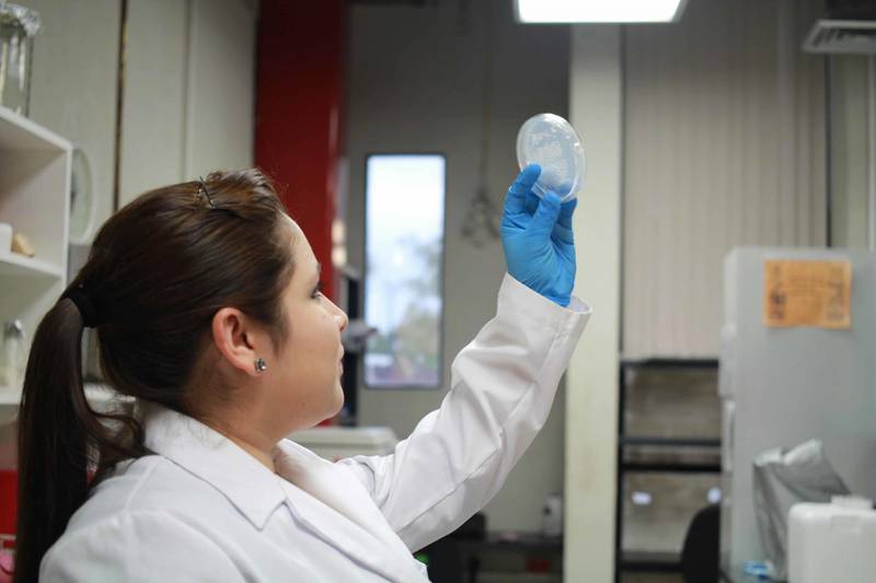 ¿Próxima pandemia? Resistencia a antibióticos causa 700 mil muertes al año