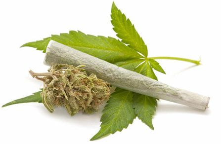Efectos de la marihuana: ¿qué daños y beneficios genera? ¿Cuán adictiva es?
