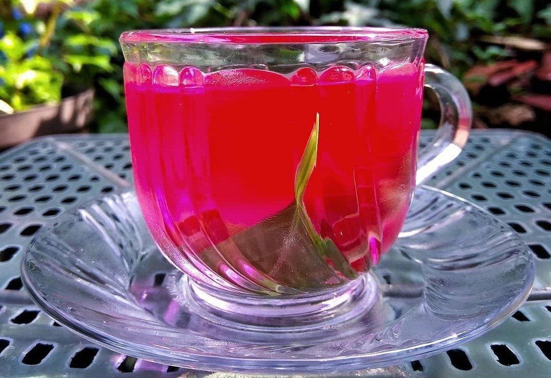 Conoce las propiedades medicinales de la infusión de muicle