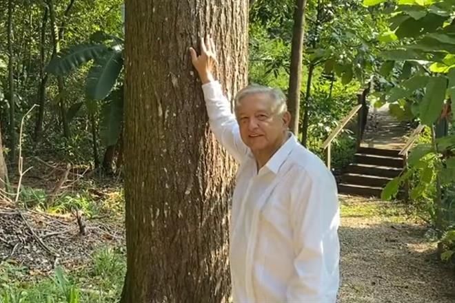 Presume AMLO en su cumpleaños ‘cedro fuerte’ a los 69 años