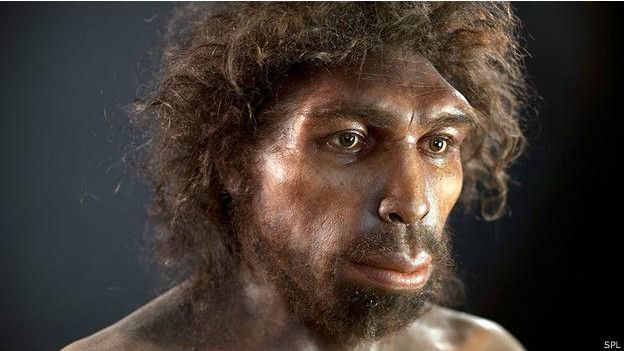 El mito de la «dieta paleo» que supuestamente consumían los humanos prehistóricos (y qué dicen recientes hallazgos científicos)