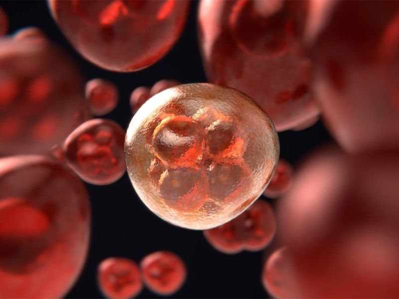 Algunos cánceres desactivan el sistema inmunitario para que tumor crezca sin control: Estudio