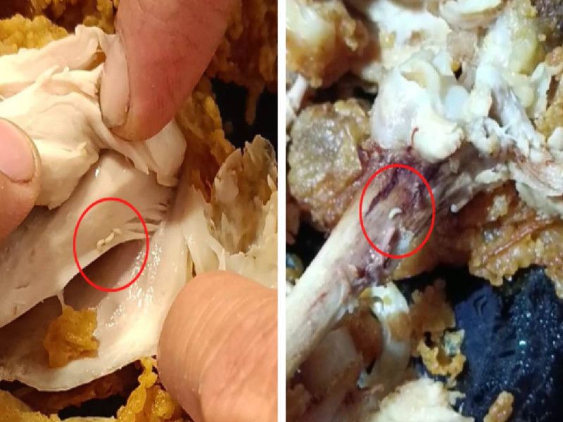 Denuncian en redes larvas vivas en pollo KFC