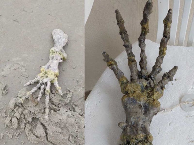 ¿De dónde salió eso? Hallan extraño esqueleto de ‘mano gigante’