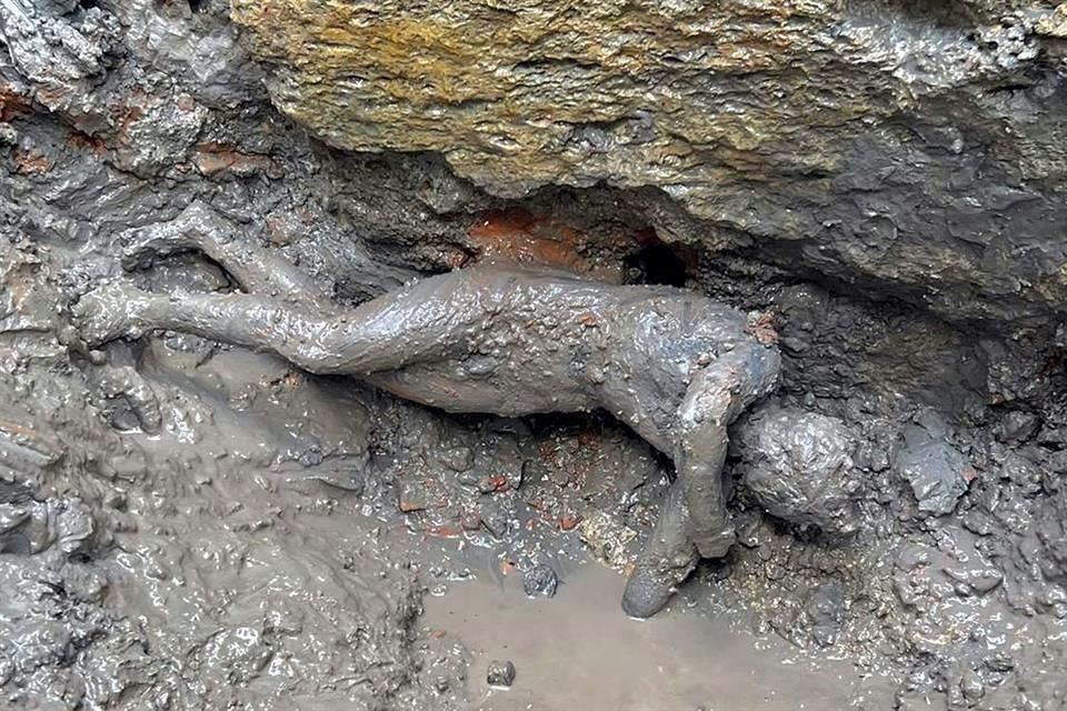 Hallan en Italia esculturas de la época romana