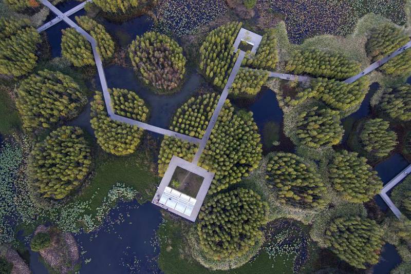 ‘Ciudades esponja’: La propuesta de un arquitecto chino para salvar al mundo del calentamiento global