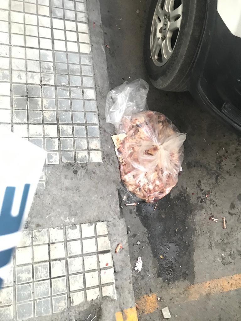 Se disputan cocineros pollo con manada de perros. (VIDEO)