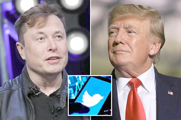 Musk pone a votación en Twitter reinstaurar cuenta de Trump