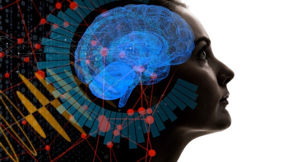 El «cerebro cuántico», la teoría que ayudará a resolver el misterio de cómo surge la conciencia humana