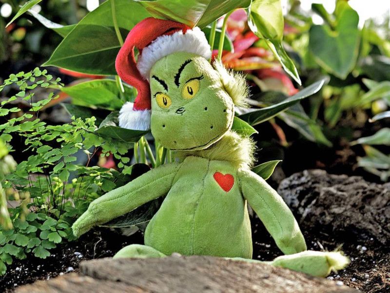 Navidad 2022: Hay tres tipos de ‘Grinch’ en México