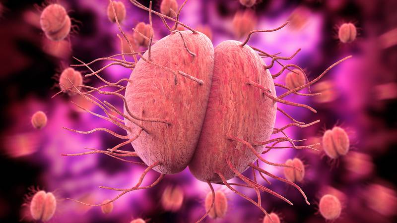 ¿La meningitis aséptica es contagiosa? Así se transmite la enfermedad