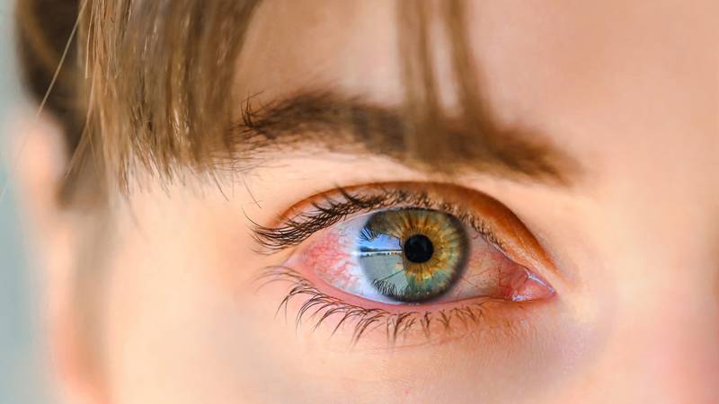 Tetracrómatas: ¿Cómo es el ‘superpoder’ de ver 100 millones de colores?