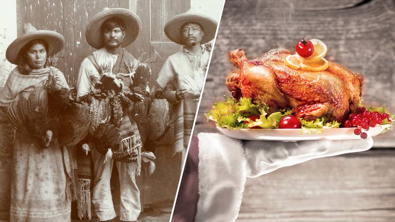 ¿Por qué cenamos pavo en Navidad? Así ‘conquistaron’ el mundo los guajolotes