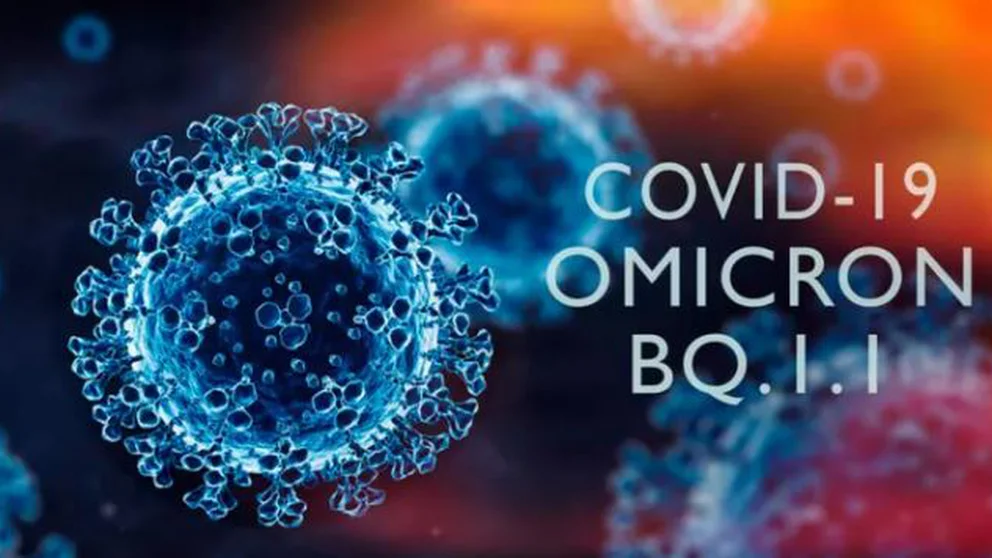 Cuáles son los síntomas de BQ.1 y BQ.1.1, las variantes más contagiosas del coronavirus