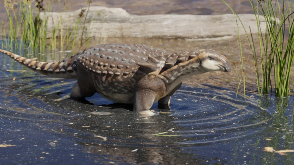 Estudios relevaron la existencia de un nuevo dinosaurio que vivió en la Patagonia hace 70 millones de años