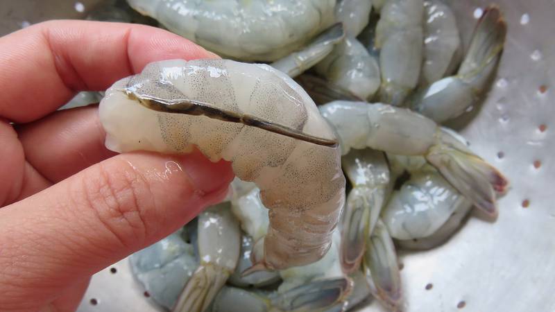 ¿Qué pasa si comes la ‘vena negra’ de los camarones? Te decimos si hace daño