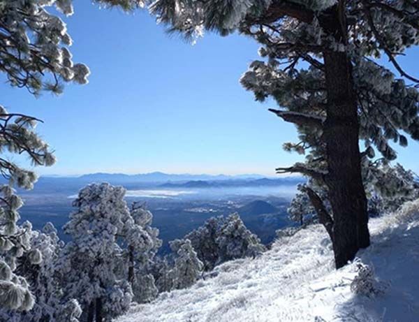 Sierra de Sonora se pinta de blanco por primera tormenta invernal
