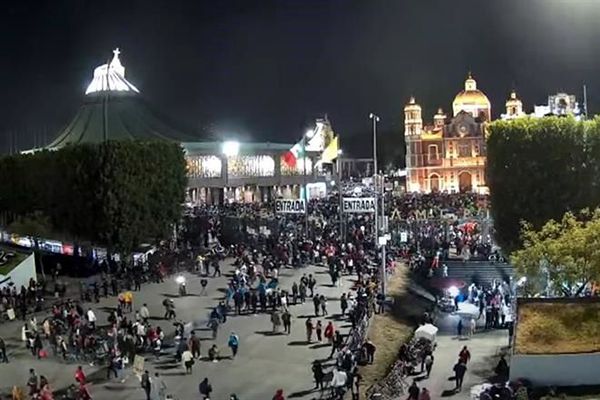 Veneran millones a la Guadalupana