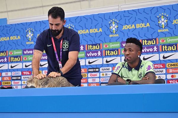 Futbol brasileño recibe demanda por maltrato a gato