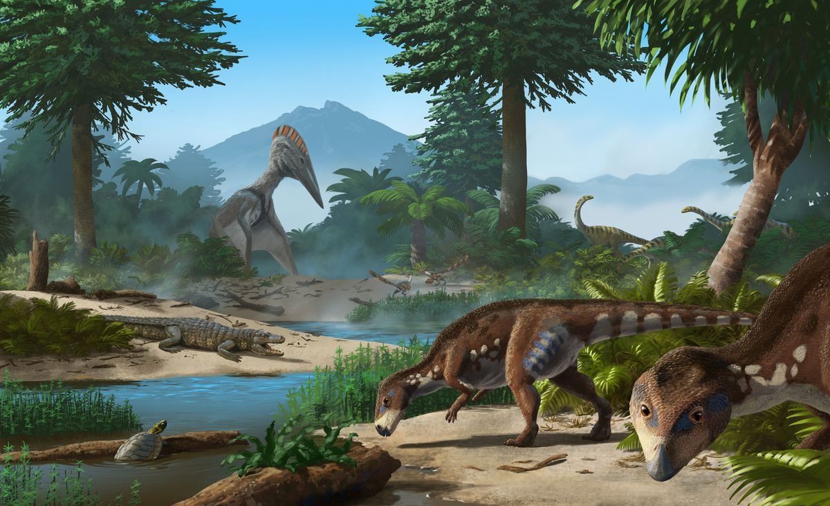 Estos son los dinosaurios más impresionantes que se han descubierto en 2022