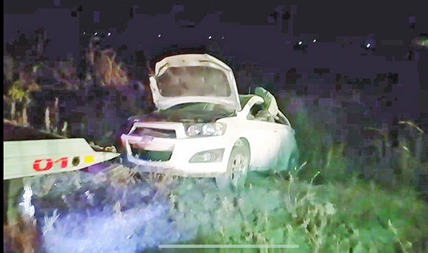 Termina auto en matorrales
