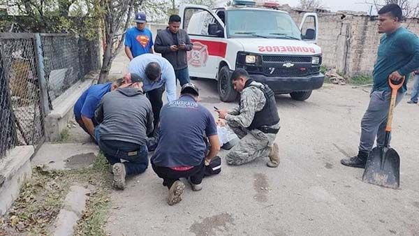 Fractura a anciano mordida de Pitbull