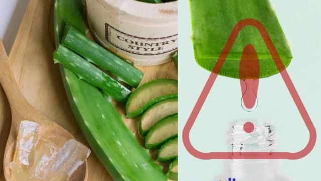 3 usos que no debes darle al aloe vera porque es peligroso