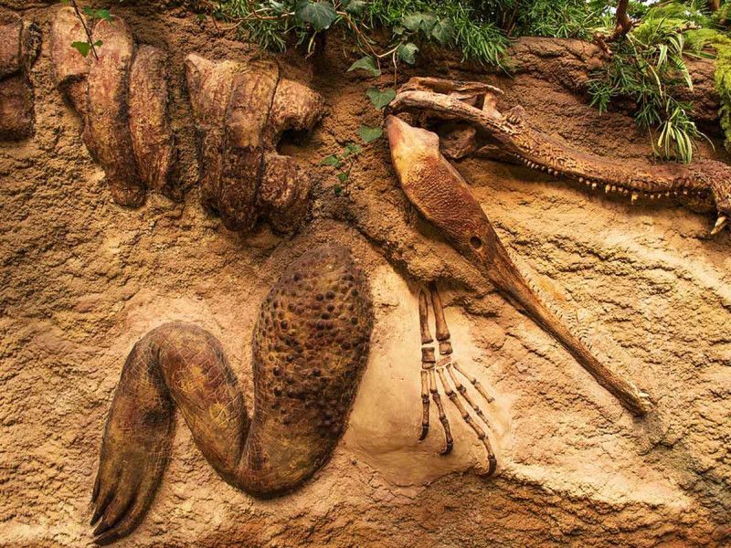 Dinosaurio ‘momificado’ consterna a la ciencia; podría reescribir la historia