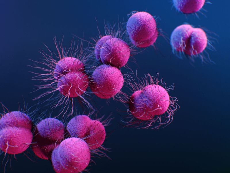 Médicos de EU detectan nueva cepa de gonorrea que resiste a cinco tipos de antibióticos