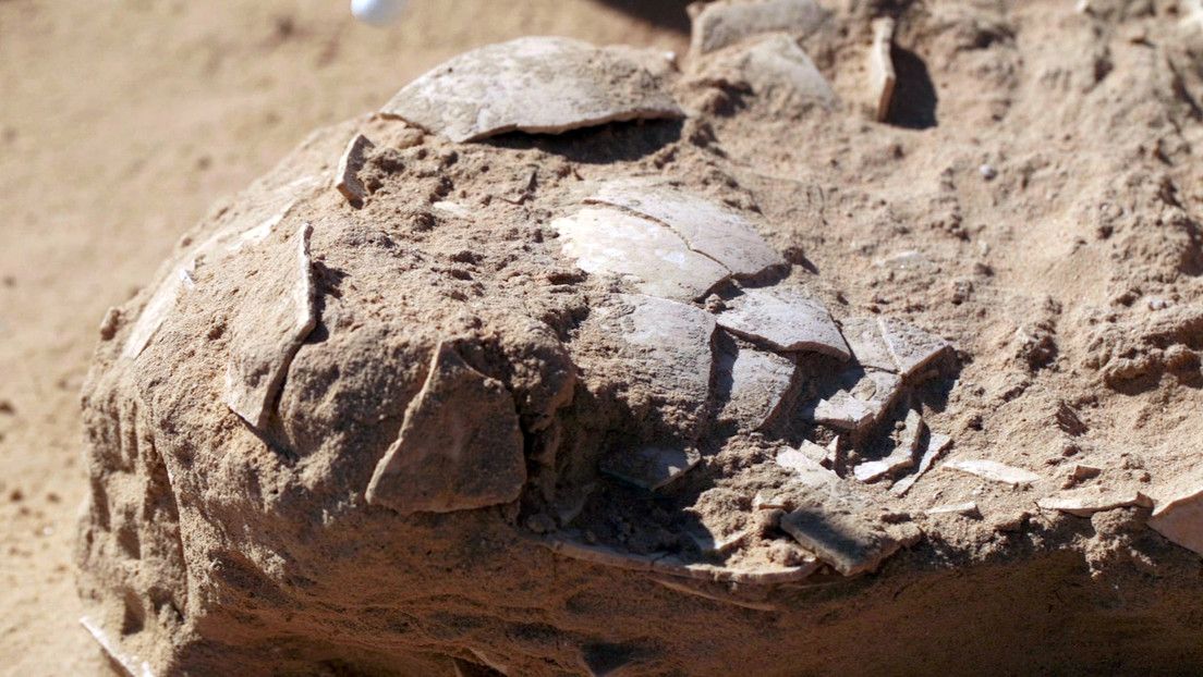 Encuentran antiquísimos huevos de avestruz en Israel en estado «excepcional» de preservación