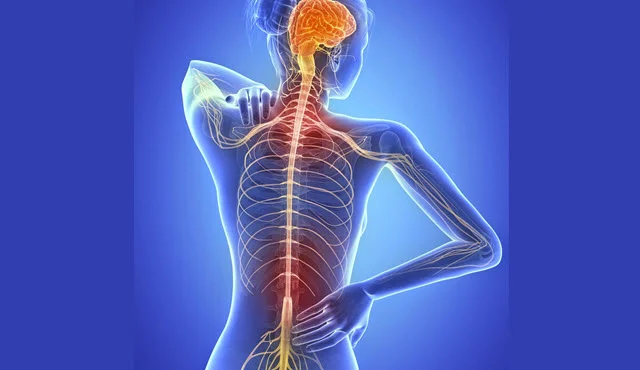 ¿Sufres de hormigueo y olvidas las cosas? Estos son los signos de alerta de la esclerosis múltiple
